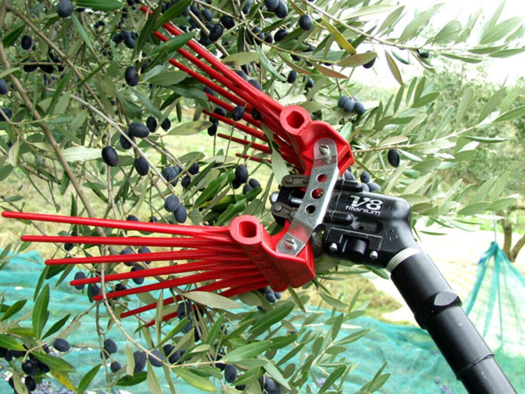pneumatic/electric shaker/rake for olives