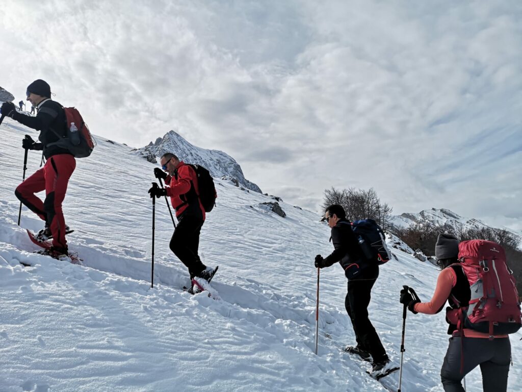 abruzzo snowshoe