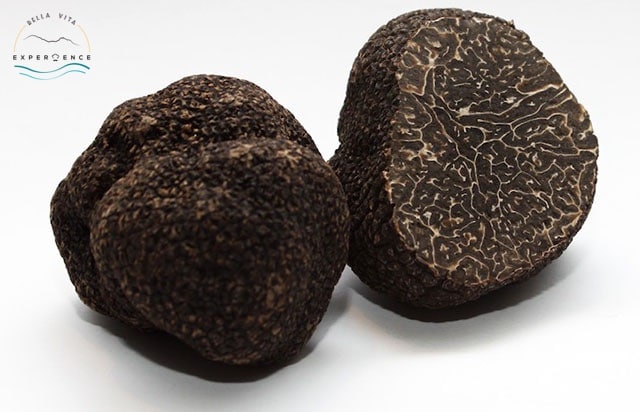 Black winter truffle italy