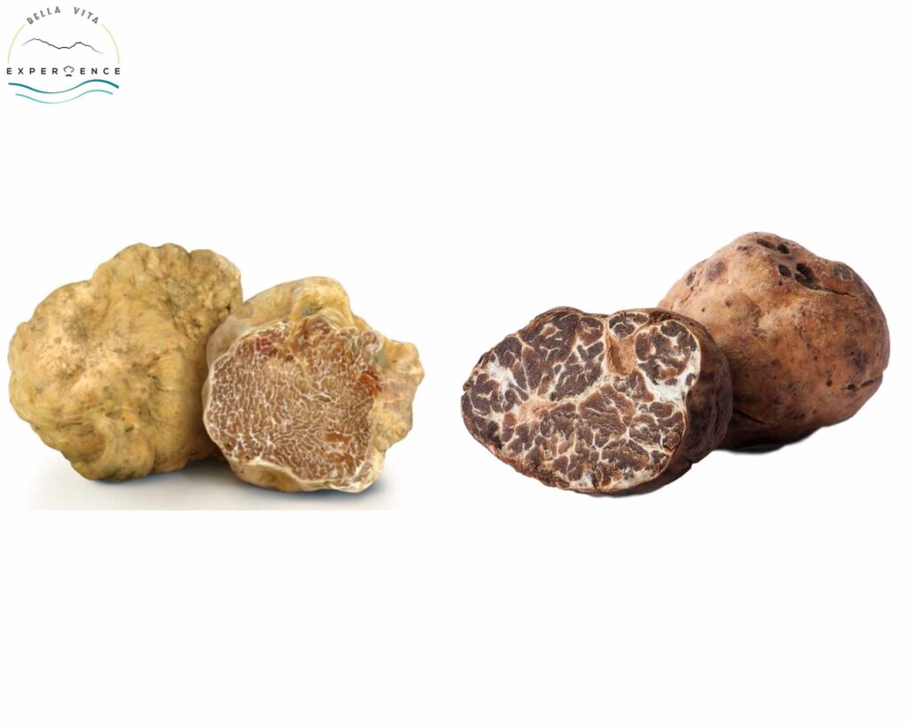 white truffles comparison