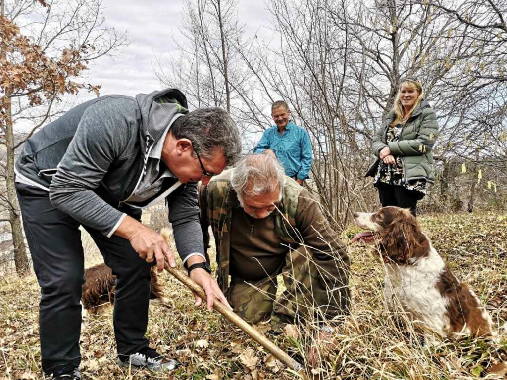 truffle hunt italy