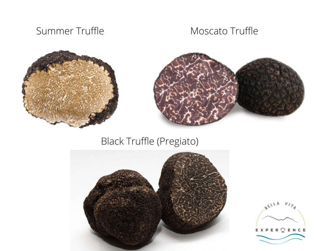 recognising black truffles