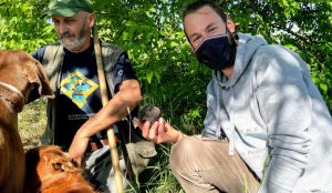 truffle hunt in abruzzo near me