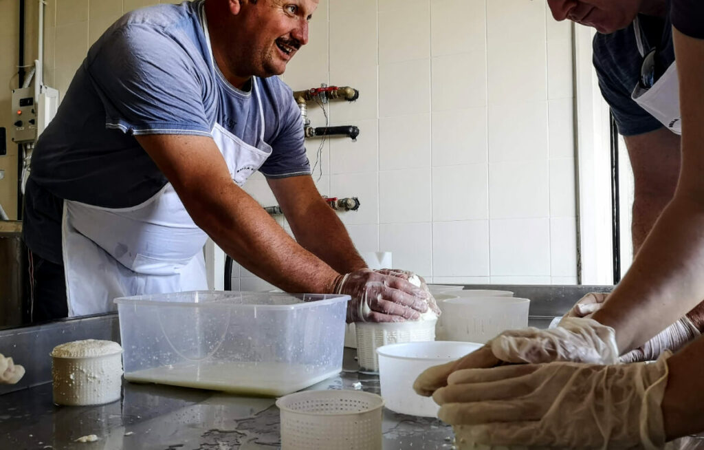 cheesemaker abruzzo